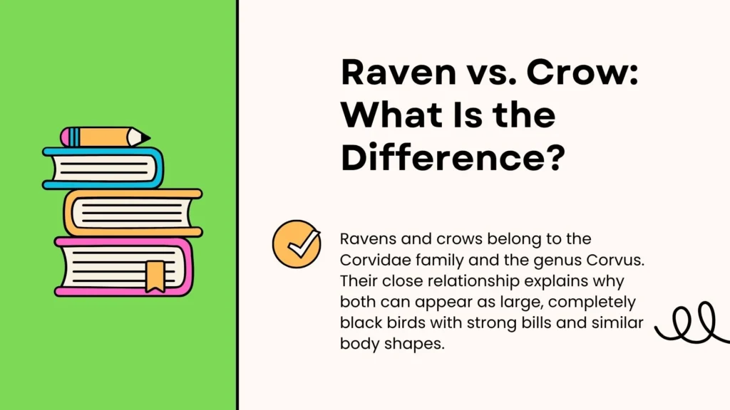 Raven vs. Crow: What Is the Difference?