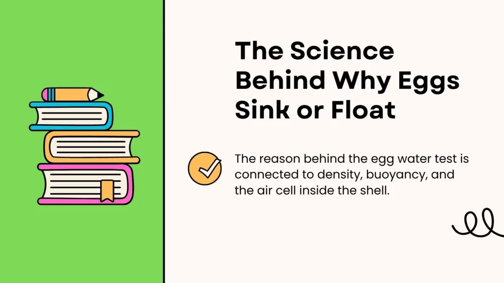 The Science Behind Why Eggs Sink or Float