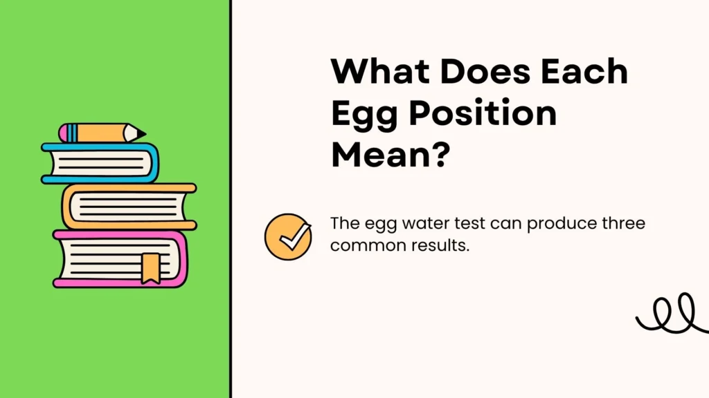 What Does Each Egg Position Mean?